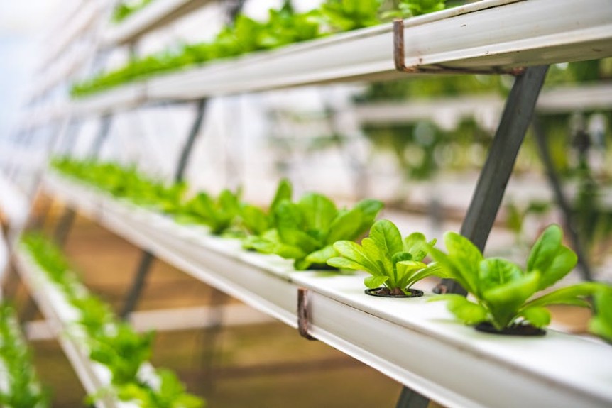 SustainableFuture